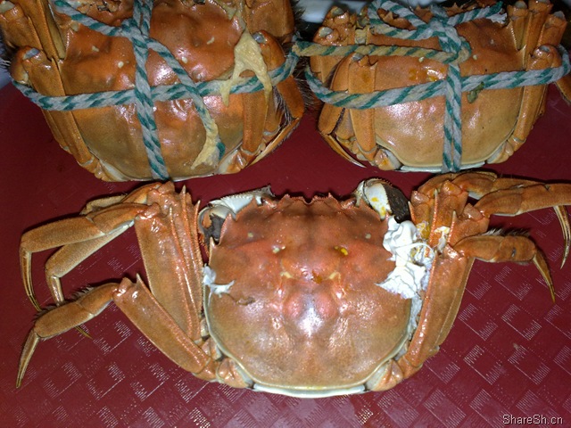 /posts/life/20091026-yangcheng-lake-crab-eating-one-day-tour-introduction/assets/boxcn2FLskFe84cp2LMOPrFbzac.jpg
