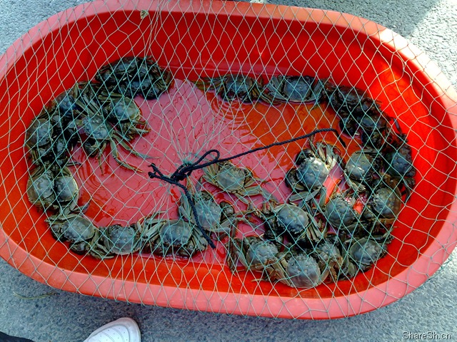 /posts/life/20091026-yangcheng-lake-crab-eating-one-day-tour-introduction/assets/boxcn4dZaiXv7XKDfTjnVUcDtae.jpg