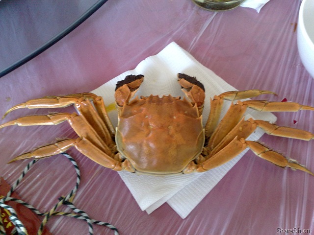 /posts/life/20091026-yangcheng-lake-crab-eating-one-day-tour-introduction/assets/boxcnnrKr9Rvw6APZrgEj75x1xh.jpg